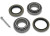 CARRY-ON TRAILER BEARING KIT - 1-1/16IN|500T