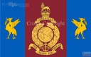 Royal Marines Reserve Merseyside Flag