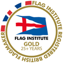 USA Hand Waving Flag (pack of 12)