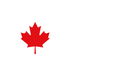 Canadian Non-flag Officer holding a Command Appointment Flag