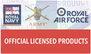 RAF 7010 (VR) Defence Squadron Flag