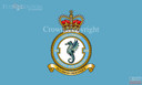 RAF 203 Squadron Flag