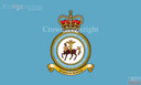 RAF Tactical Medical Wing Flag