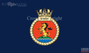 HMS Severn Flag