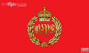 1st the Queens Dragoon Guards The Queens Bays flag