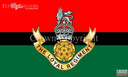 The Loyal Regiment flag