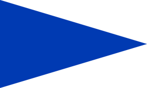 Brigade Commander Flag