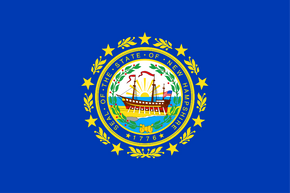 New Hampshire State Flag