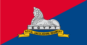 Royal Lincolnshire Regiment Flag
