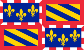Burgundy Flag
