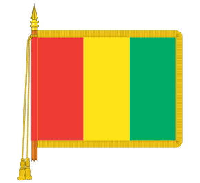 Ceremonial Guyana Flag
