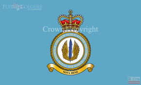 RAF Defence Aircrew Publications Squadron Flag