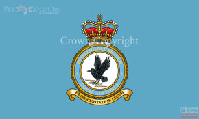 RAF Intelligence Branch Flag