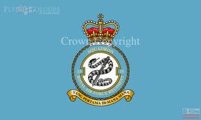 RAF 15 Reg Flag