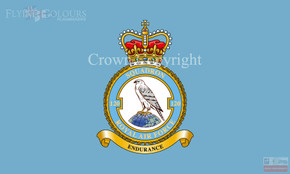 RAF 120 Squadron Flag