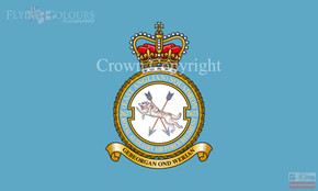 2623 (East Anglian) Squadron Royal Auxiliary Air Force Regiment Flag