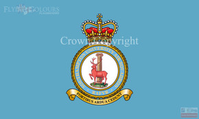 Southampton Uni Air Squadron Flag