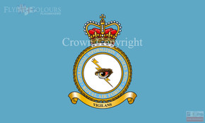 RAF Operations Informations Servive Wing Flag