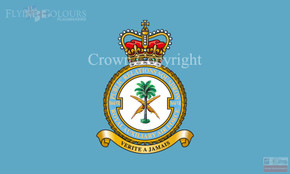 RAuxAF 7644 (VR) Public Relations Squadron Flag