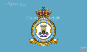 RAF 42 Expeditionary Support Wing Flag