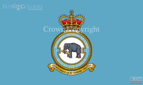 RAF 2 Mechanical Transport Squadron Flag