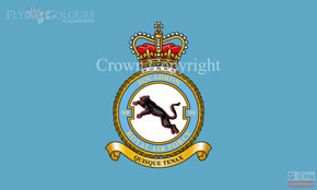 RAF 99 Squadron Flag RAF 99 Squadron Flag