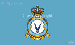 RAF 60 Squadron Flag