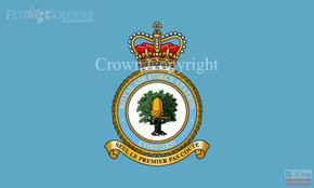 RAF Cosford Flag