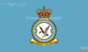 RAF 202 Squadron Flag