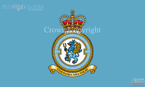 RAuxAF 2620 Regiment Squadron Flag