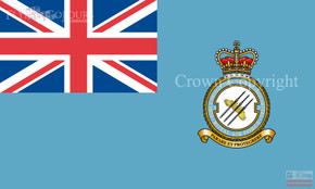 RAF 3 Force Protection Wing Ensign