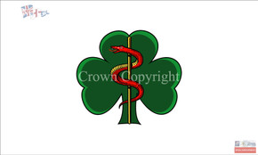 253 Medical Regiment flag 253 Medical Regiment flag
