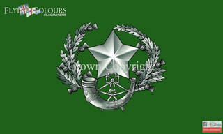 The Rifles flag | Officially Licenced MoD Artwork Flags | Made in Britain