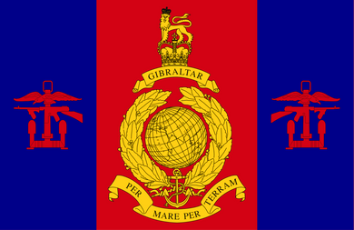Amphibious Trials and Training Unit Royal Marines Flag