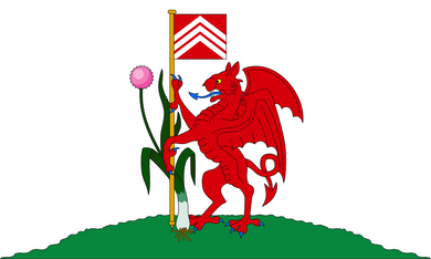 Cardiff Flag