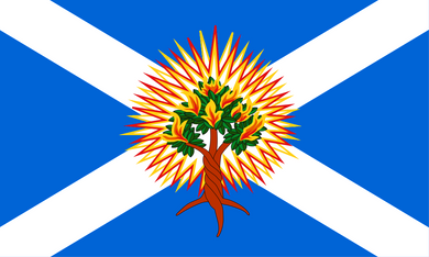 The Church of Scotland Flag