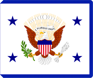 United States Vice President Flag