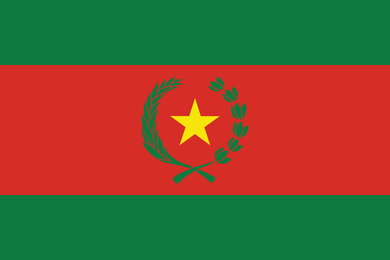 1st Bolivian Flag
