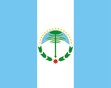 Neuquén Province Flag