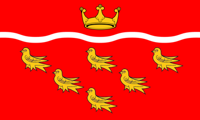 East Sussex Flag