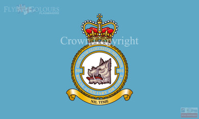 RAuxAf 501 (County of Glouster) Squadron Flag