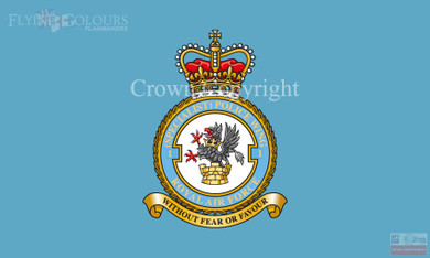 RAF 1 (Specialist) Police Wing Flag