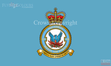 RAF 57 Squadron Flag