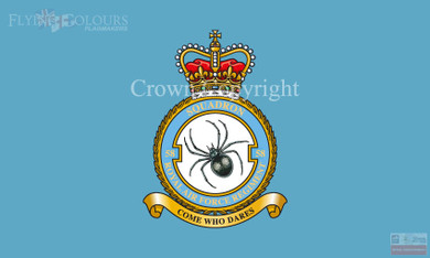 RAF 58 Regiment Squadron Flag