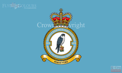 RAuxAF 7630 (VR) Intelligence Squadron Flag