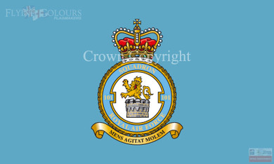 RAF 101 Squadron Flag