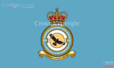 RAF 905 Expeditionary Wing Flag