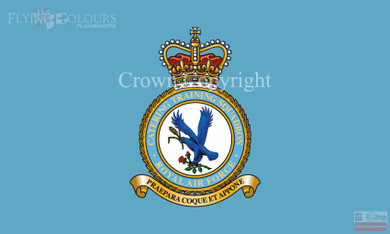 RAF Catering Training Squadron Flag