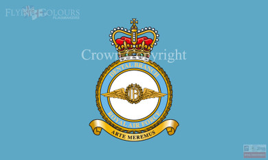 RAF Dental Branch Flag