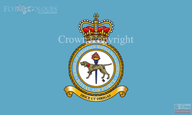 RAF SABM Flag